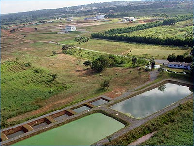 Recuperação das águas e repovoamento da vida aquática do Rio Meia Ponte