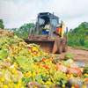 O Brasil é o 10º colocado no ranking de desperdício de alimento