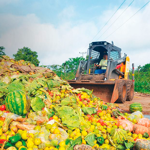 O Brasil é o 10º colocado no ranking de desperdício de alimento